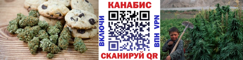 где можно купить   Губкин  Cannafood конопля 