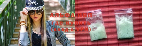 ГАЛЛЮЦИНОГЕННЫЕ ГРИБЫ Михайловск