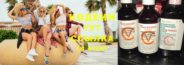 ГАЛЛЮЦИНОГЕННЫЕ ГРИБЫ Михайловск