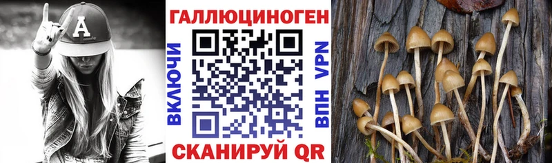 Псилоцибиновые грибы MAGIC MUSHROOMS продажа наркотиков Губкин