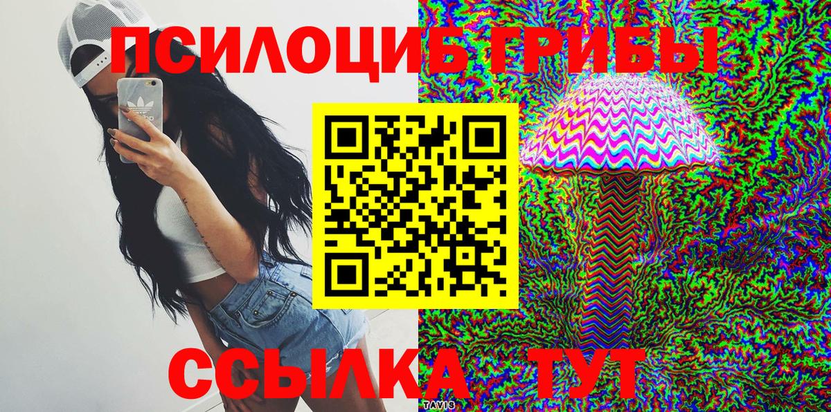 Губкин  цены   Вход с VPN  Галлюциногенные грибы Magic Shrooms 