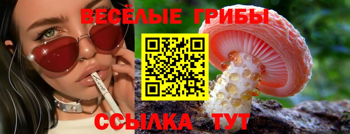 Псилоцибиновые грибы прущие грибы Губкин