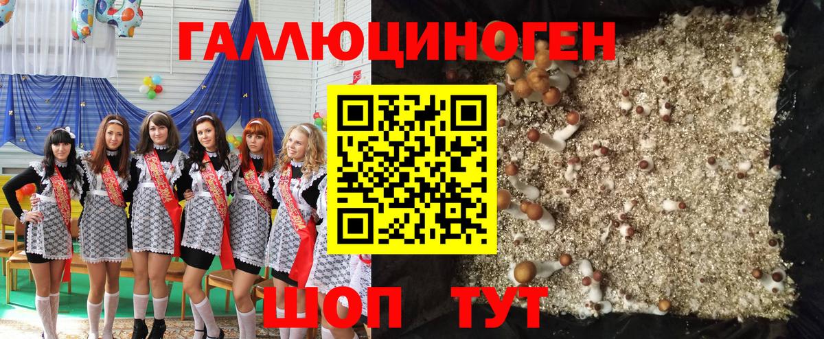 Галлюциногенные грибы ЛСД Губкин