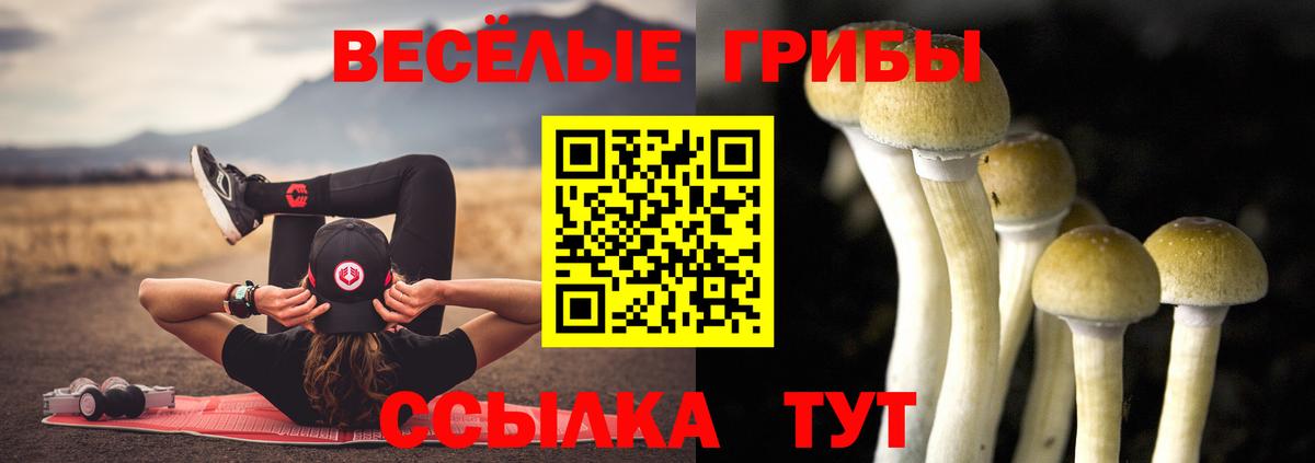 где найти   Губкин  Псилоцибиновые грибы мухоморы  Галлюциногенные грибы ЛСД 